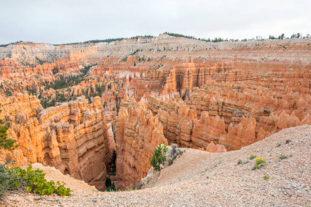 istock Bryce Canyon National Park in Utah 959754414