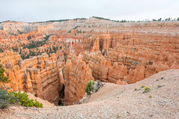 istock Bryce Canyon National Park in Utah 959754518