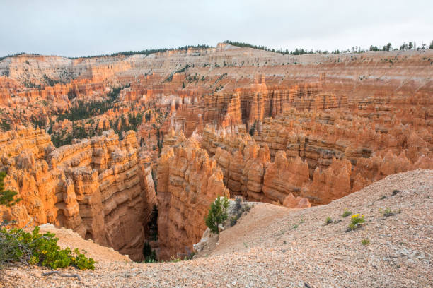 istock Bryce Canyon National Park in Utah 959754576