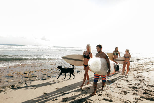 istock Activities you can do at the beach. 959757352