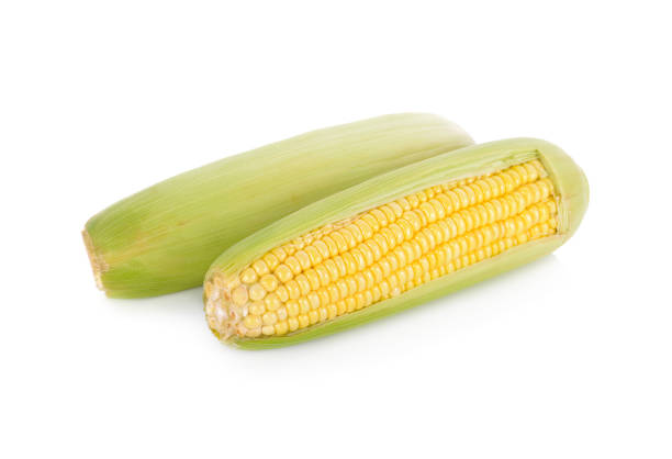 istock uncooked whole sweet corn with shell on white background 959758240