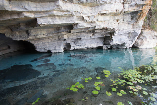 istock Pratinha - Chapada Diamantina Bahia Brazil 959761142