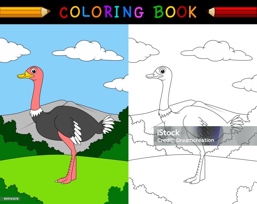 Cartoon ostrich coloring book Vector illustration of Cartoon ostrich coloring book Ostrich stock vector