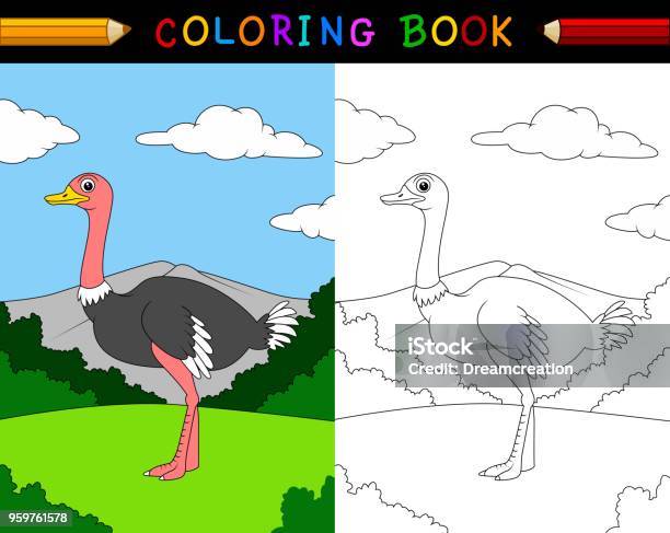 Cartoon Ostrich Coloring Book Stock Illustration - Download Image Now - Ostrich, Coloring, Activity