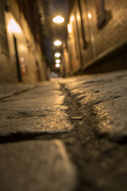 istock Cobblestone alley way at night 959762808