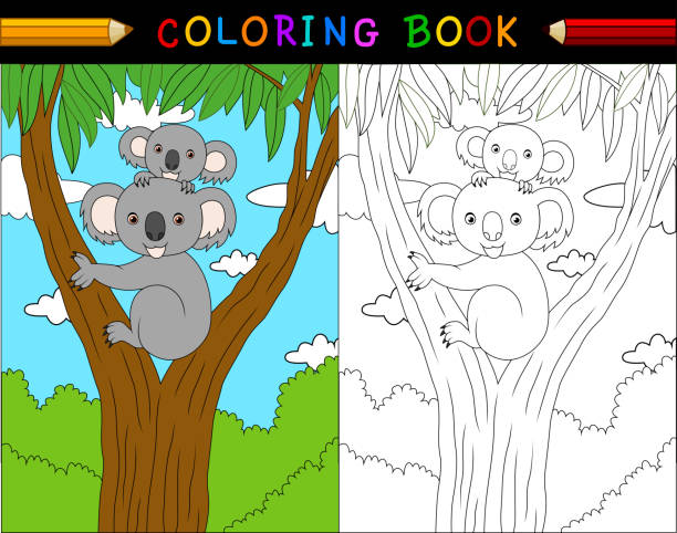 cartoon koala kolorowanka, australijskie zwierzęta serii - coloring book coloring book australia stock illustrations