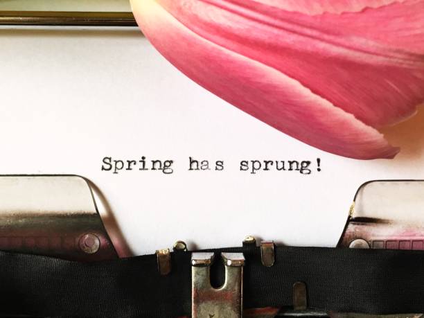 ¡primavera ha llegado! texto mecanografiado sobre papel blanco, en máquina de escribir manual vintage - first day of spring fotografías e imágenes de stock