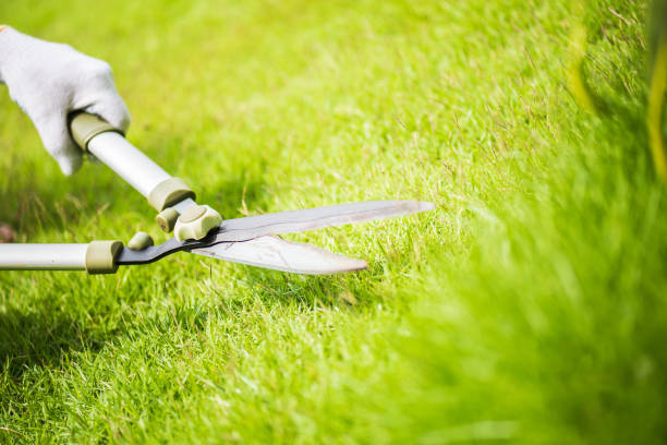 hände halten den garten schere auf dem grünen rasen. gartenarbeit konzept hintergrund. - lawn mowing gardening obsessive stock-fotos und bilder