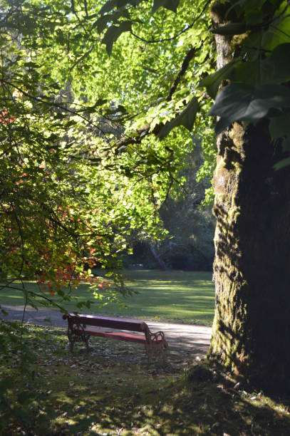 istock Universidad Austral Botanical Garden 959772080