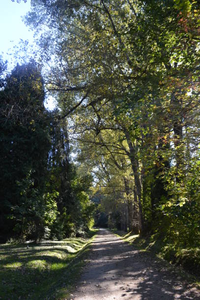 istock Universidad Austral Botanical Garden 959772084