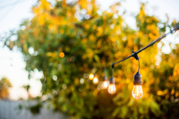 istock String of LED Lights Outdoors 959779572