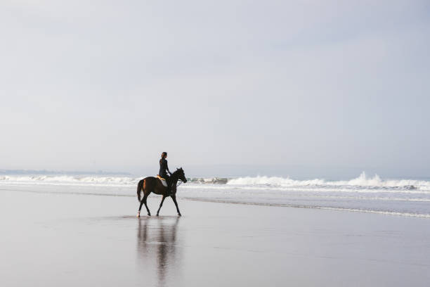 istock female equestrian riding horse on sandy beach 959779930