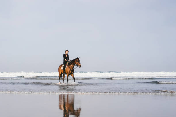 istock young female equestrian riding horse on sandy beach 959780194