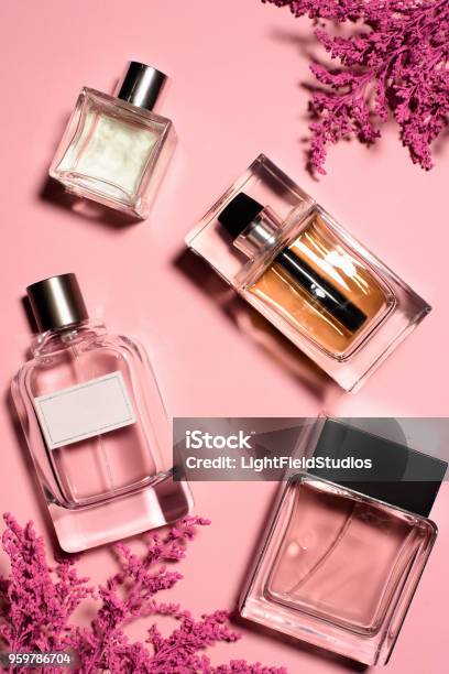 Top View Of Bottles Of Perfumes With Pink Flowers Stock Photo - Download Image Now - Perfume, Perfume Sprayer, Scented