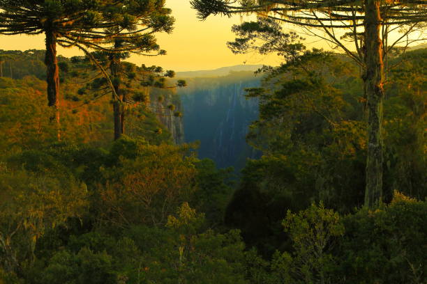 Dramatic landscape: Itaimbezinho Canyon – Rio grande do sul - Southern Brazil Dramatic landscape: Itaimbezinho Canyon – Rio grande do sul - Southern Brazil
these are not parks with restricted access, much less private ownership or restricted private or for-profit exploitation. Canyon Fortaleza, has full public access. There is no charge for any entry fee. Itaimbezinho is also a completely public National Park. They are only areas of environmental protection. The INEA is just a state regional institute ( only has jurisdiction within the state of Rio de Janeiro, which is only a state of the 27 Brazilian states - Rio Grande do Sul and Santa Catarina are the states to the south of Brazil, far from Rio It is like comparing distances from the State of California to Florida, more or less, and in relation to state parks) - unrelated to national parks. canyon itaimbezinho rio grande do sul santa catarina southern brazil stock pictures, royalty-free photos & images