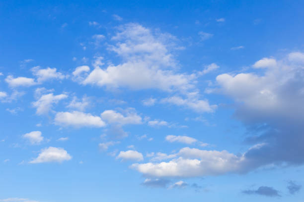 istock Blue sky background with white clouds, rain clouds on sunny summer or spring day. 959797940
