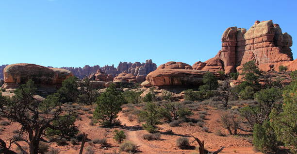 istock rRed rock formations in Canyonland National Park 959798512