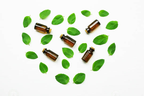istock Essentail oil with fresh mint leaves. 959807572