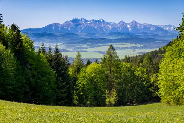 Tatra Mountains range seen from the Pieniny Mountains, Poland