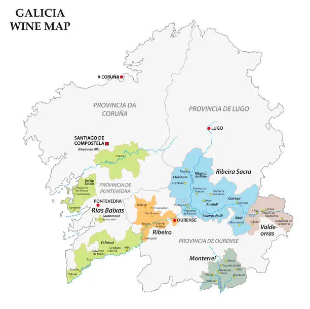 Vector illustration of Galicia, Spain, map of the vineyards