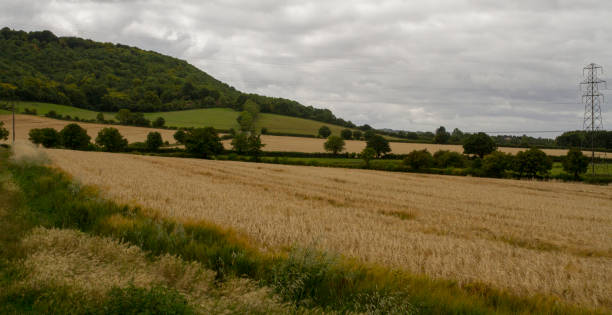 istock Fields of crops in the hills 959815520