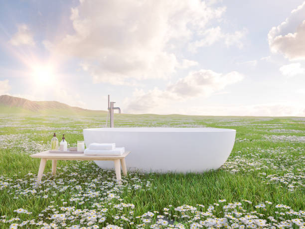 istock bathtube standing on beautiful meadow. 3d rendering 959816574