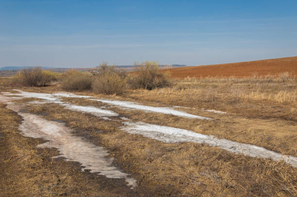 istock Spring landscape. the last snow on the spring field. hilly terrain. trees without leaves. warm days are the first 959832834