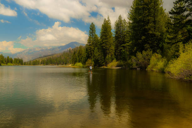 istock Summer at the lake 959834188