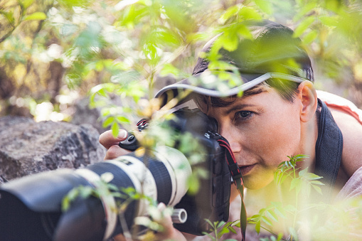 Mid Adult Woman Photographer Hiding in Bushes.