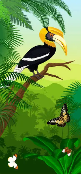 Vector illustration of Vector Jungle rainforest vertical baner with great hornbill and butterflies