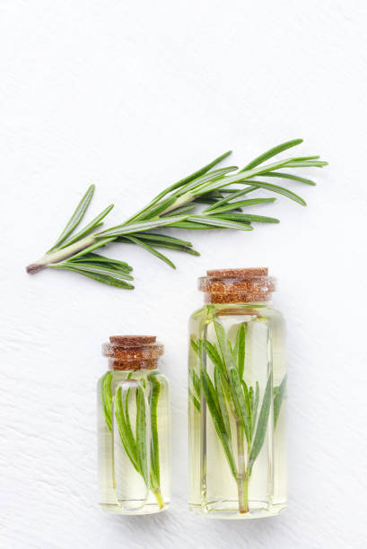 istock Extracts of herbs rosemary on white background 959859616