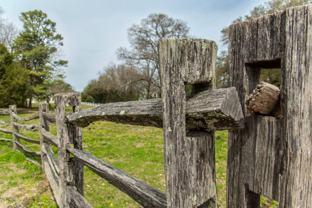istock Old wood fence 959868204