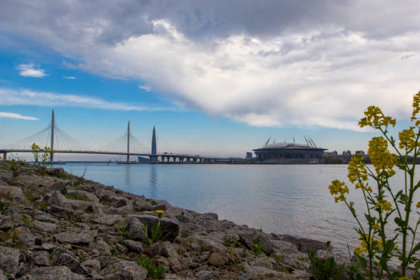 vista del nuevo estadio 'zenith arena' y el nuevo puente cable-permanecido del río neva, san petersburgo, rusia - confederations cup fotografías e imágenes de stock