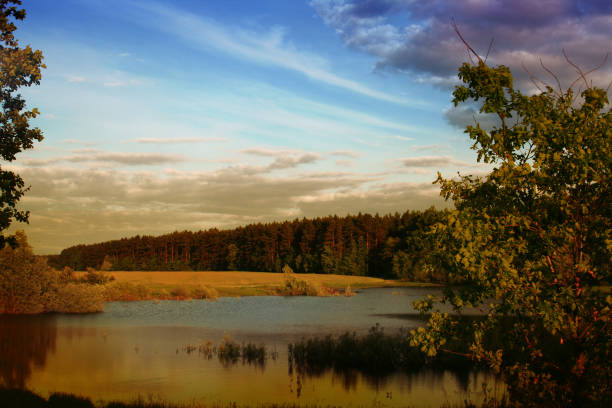 Scenic view of a small lake surrounded by forests and fields