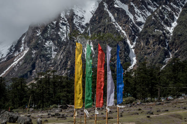 A view of the Yumthang valley on the himalayan range with religious flags flying high, Sikkim, India