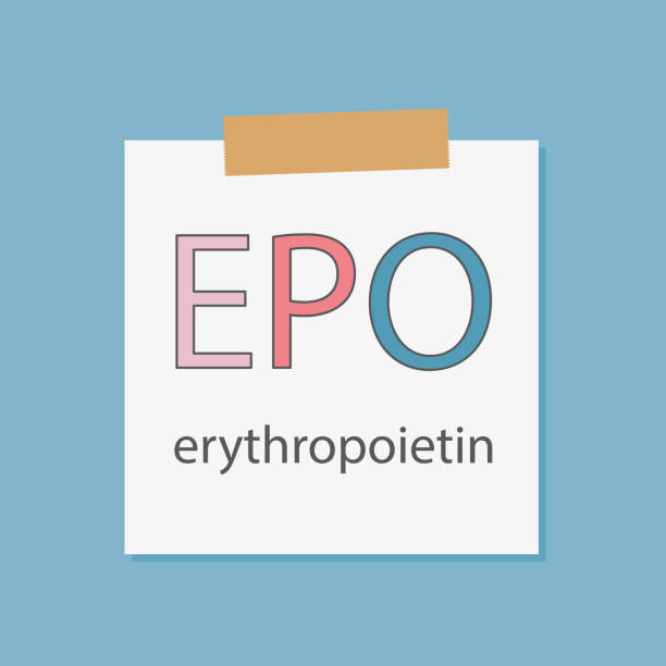 EPO Erythropoietin written in a notebook paper EPO Erythropoietin written in a notebook paper- vector illustration erythropoietin stock illustrations