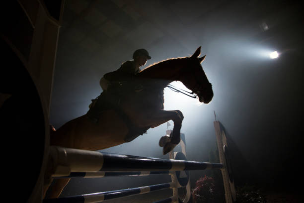 silueta de un caballo y un jinete saltando sobre el obstáculo - hurdle competition hurdling vitality fotografías e imágenes de stock