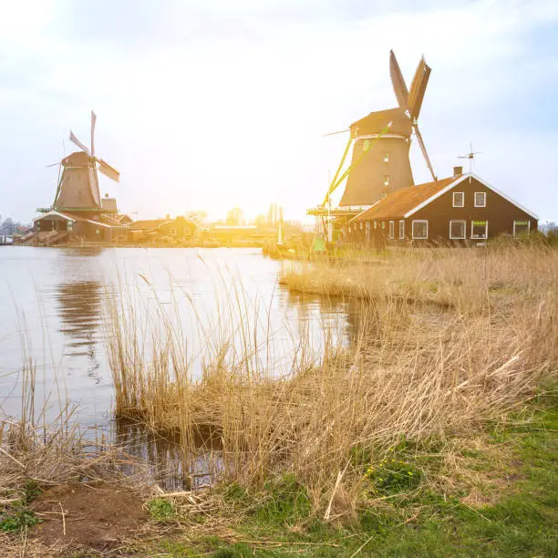 Photo of view of wind mills in Zaanse Schans, Netherlands