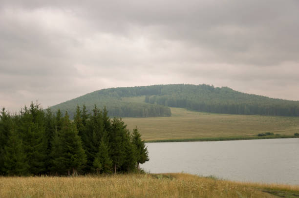 River is slowly flowing. Grey clouds in the early autumn sky over green fields, trees, forests and huge mountains close. A lot of meadow herbs around. Evening, before rain