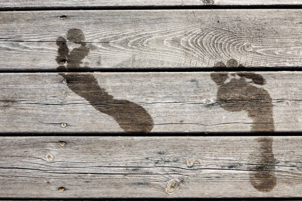Wet footprints on a wooden jetty / bridge Wet footprints on a wooden jetty / bridge. Concept for swimming / bath, summer holidays / vacation, fun in the sun, etc. Fullscreen texture. floating dock stock pictures, royalty-free photos & images
