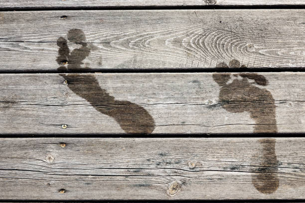 molhar as pegadas em um cais de madeira / ponte - sweden summer swimming lake - fotografias e filmes do acervo