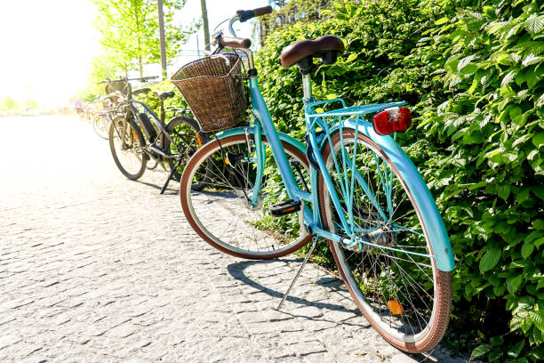 緑のブッシュによって駐車美しいビンテージ レトロ自転車 - stationary bycicle ストックフォトと画像