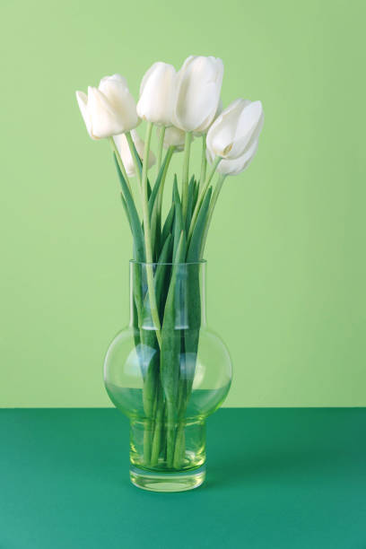 istock White tulips in a vase on a green background 959918836