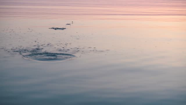 Stone skipping on beautiful calm water, majestic sunrise around.