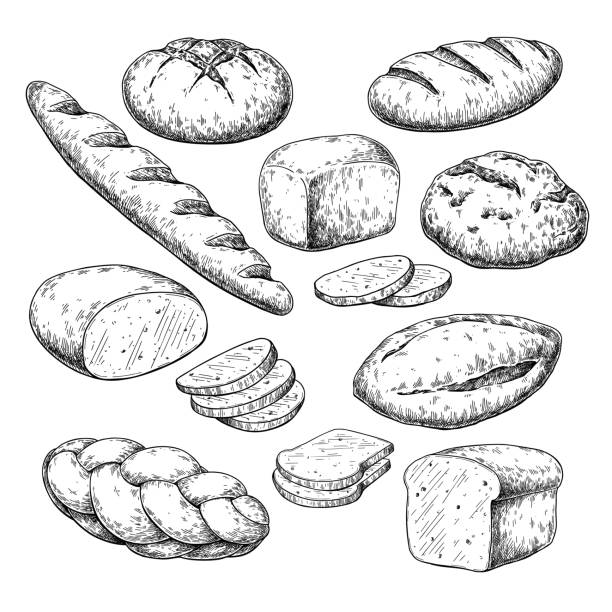 illustrazioni stock, clip art, cartoni animati e icone di tendenza di disegno vettoriale del pane. schizzo del prodotto da forno. cibo vintage - camera engraving old retro revival