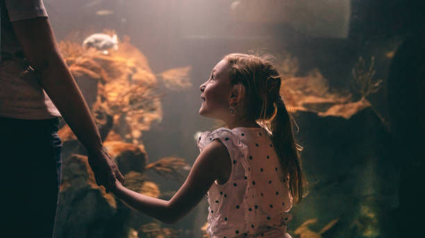 istock Discovering underwater world with my mom 959933294