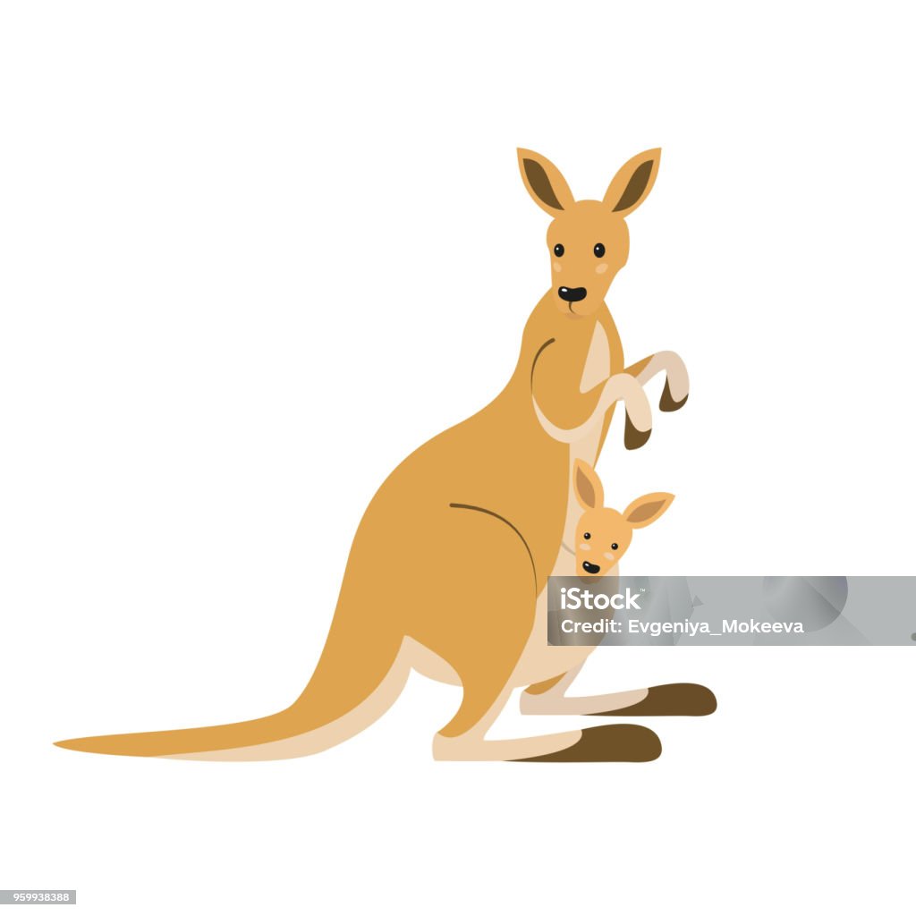 Simpatico canguro su sfondo bianco. - arte vettoriale royalty-free di Canguro Simpatico canguro su sfondo bianco. - arte vettoriale royalty-free di Canguro