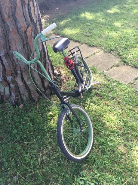 istock Vintage custom homemade black and green bicycle leaning on pine tree 959938448