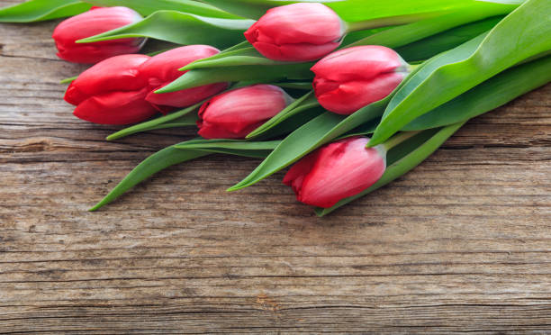 istock Red tulips bouquet on a wooden background 959941868