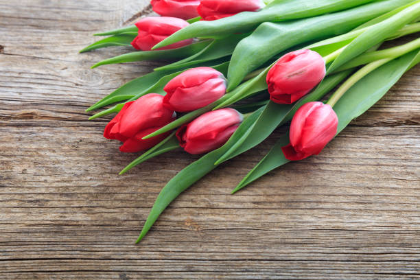 istock Red tulips bouquet on a wooden background 959942024